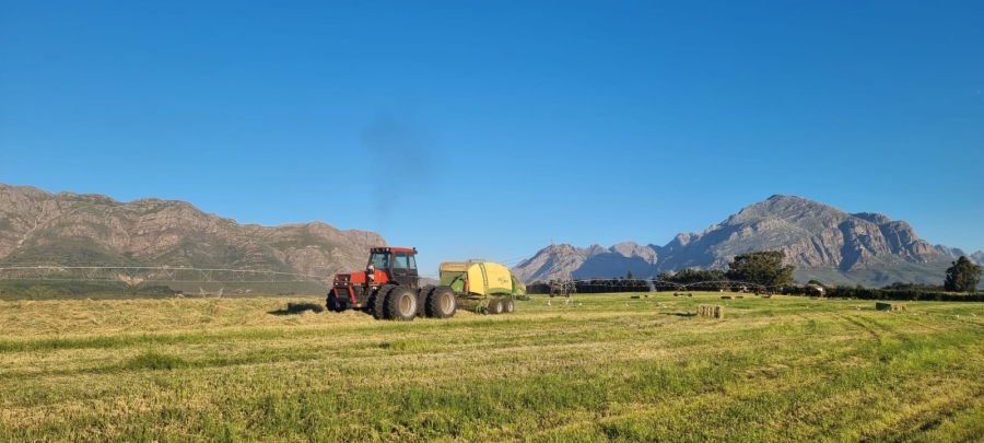 Commercial Property for Sale in Wolseley Western Cape